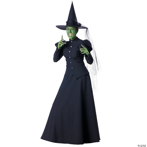 Wicked witch adult women 4-6 M680-IC1022SM