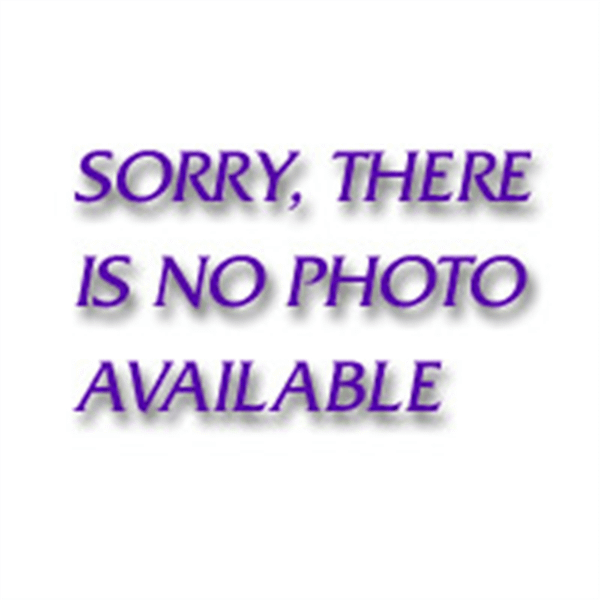 GearWrench 1/4" Non-Quick Release Ratchet Repair Kit (dual pa T398-KDT81099XP