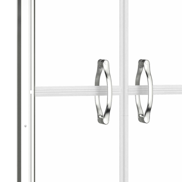 Shower Door Clear ESG 39.8"x74.8 A949-148784