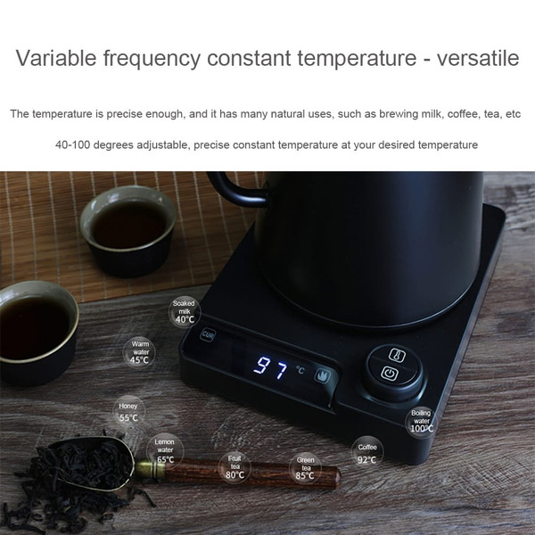 1L Electric Gooseneck Kettle Teapot with Stainless Steel Inner Liner and Cover, Hot Water Boiler He K484-FQZDN_ITCWSG11