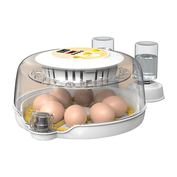 Egg Incubators with Automatic Temperature and Humidity Control, 360° Clear Egg Candler Egg Flipper  K484-FQZIN_DUW0G20V