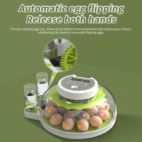 Egg Incubators with Automatic Temperature and Humidity Control, 360° Clear Egg Candler Egg Flipper  K484-FQZIN_DUW0G20V