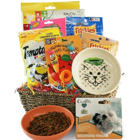 Catnip Crazy: Pet Cat Gift Basket Z954-DY-CATNIP