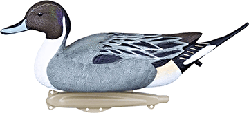 Flambeau Classic Pintail Decoy 6 pk. R557-1201537
