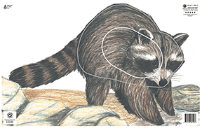 Maple Leaf NFAA Animal Faces Group 3 Raccoon R557-14160