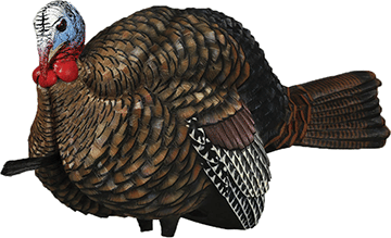 Avian X 1/2 Strut Jake Turkey Decoy R557-76720