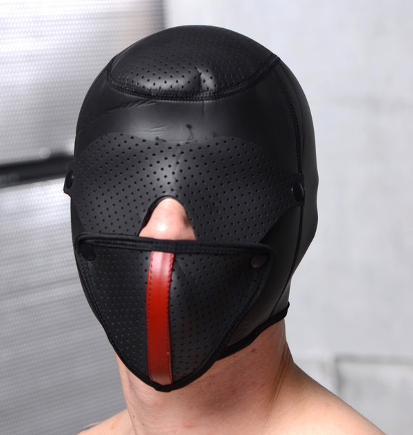Scorpion Hood With Removable Blindfold and Face Mask D496-AG408