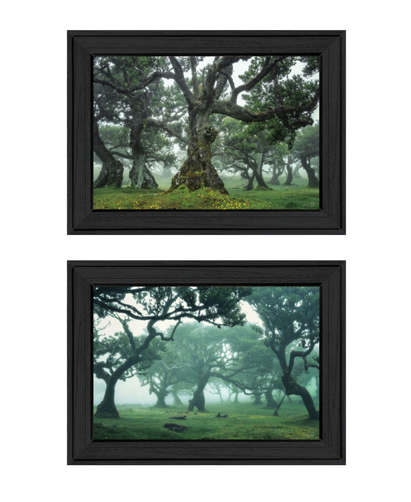 Set Of Two Enchanted Forest 2 Black Framed Print Wall Art N270-408032