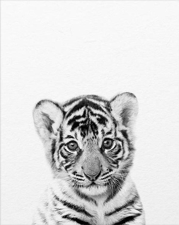 Color: H, Size: 21x30cm - Hot-selling Cute Black And White Small Animal Paintings Modern Simple Chi Q119-CJZS115543830DW