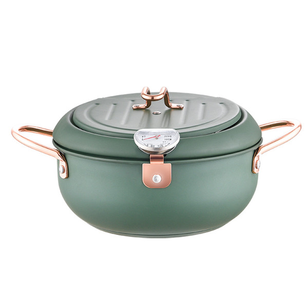 Color: Fryer 20cm - Morandi Fryer Multi-bottom Filter Oil Temperature Control Non-stick Fryer Q119-CJCJ109585501AZ
