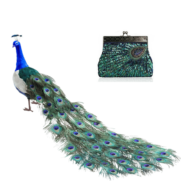 Peacock Crazy Clutch Eye-catching Ensemble In 8 Colors F369-6203043461