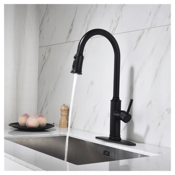 Single Handle Pull Down Kitchen Faucet with Dual Function Sprayhead T575-V0671300952