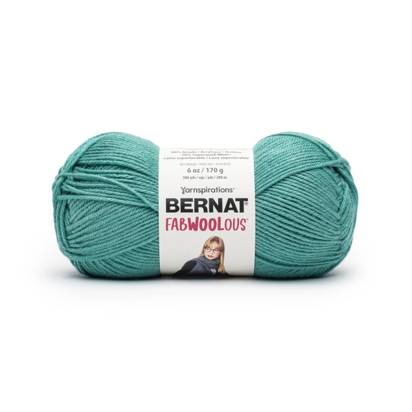 Spinrite Bernat Fabwoolous Yarn Teal 1 Pack of 1 Skein N274-FC01517998