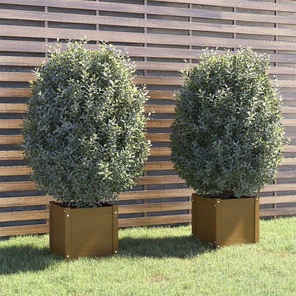 Planter Set of 2 Honey Brown Solid Pinewood Standard Planters A949-810541