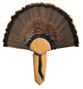 Montana Decoy Moose II Decoy R557-65501