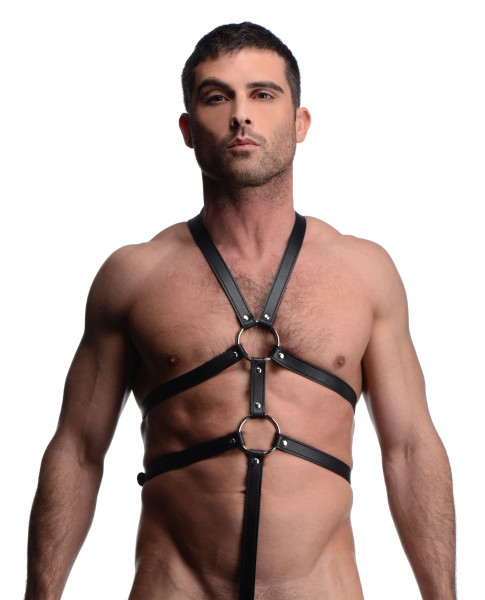 Male Full Body Harness D496-AF249