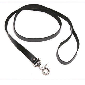 Strict Leather 4 Foot Leash D496-ST107