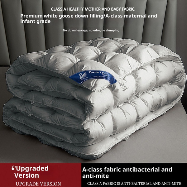 Color: Gray, Size: 200x230cm 3.5KG - Thickened Warm Winter Duvet Insert Q119-CJYD257096507GT