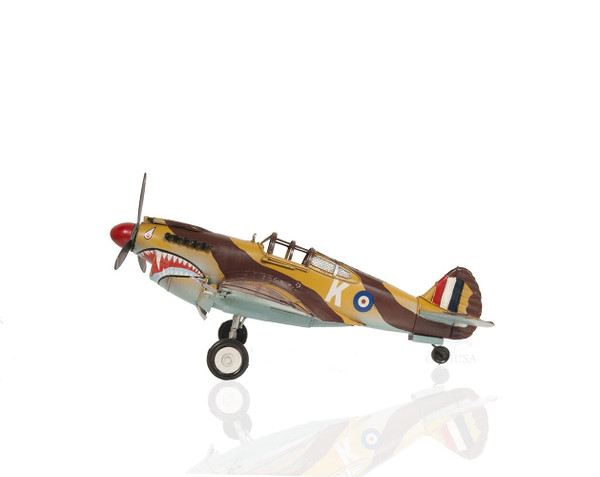 c1941 Curtiss Hawk 81A Large Sculpture N270-401172