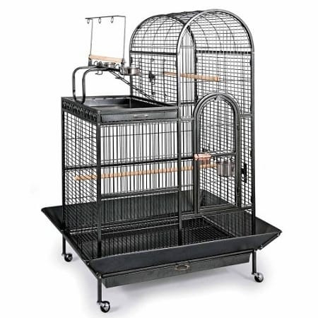 Deluxe Parrot Dometop Cage with Playtop N274-ES01PP3159