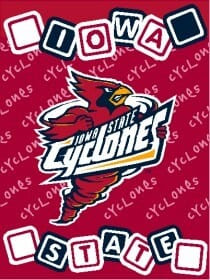 Iowa State Cyclones Blanket 36x48 Woven Baby Throw Z157-8791873377