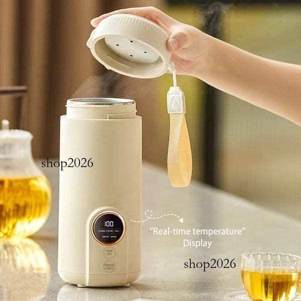 Portable Heating Cup 550ml Electric Kettle Multifunctional Boiled Water Pot Smart Teapot Adjustable Y829-1480780478737977355