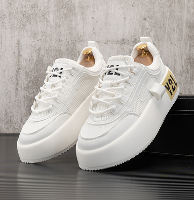 Color: White, Size: 40 - Thick Soles Men's Autumn Breathable Mesh Small White Shoes Trend Q119-CJNS166842203CX