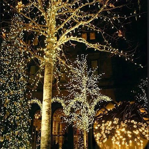 Firefly Solar mini LED Christmas lights on String K290-1193667824