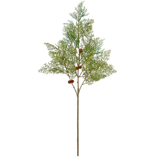 Pine Spray Cypress 39 Inches N274-FC01590435