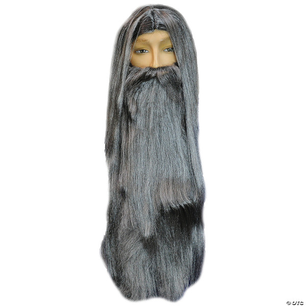 Wizard beard and wig set-gray M680-LW651GY