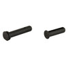 Radian Weapons R0077 Radian Weapons R0077 Takedown Pins BLK | Precision AR15/M16 Accessories R0077