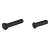 Radian Weapons R0077 Takedown Pins AR15 BLK