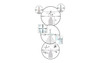 Burris Optics BURRIS XTR PRO SCR2 1/4 ML 5.5-30X56, detailed technical schematic of the rifle scope showing adjustment turrets, reticle, and measurement markings.