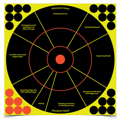 Birchwood Casey BC-34032 SHT-N-C 12" Handgun Targets - 5 Pack for Accurate Shooting Practice