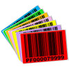 4x6 Color LPN Labels