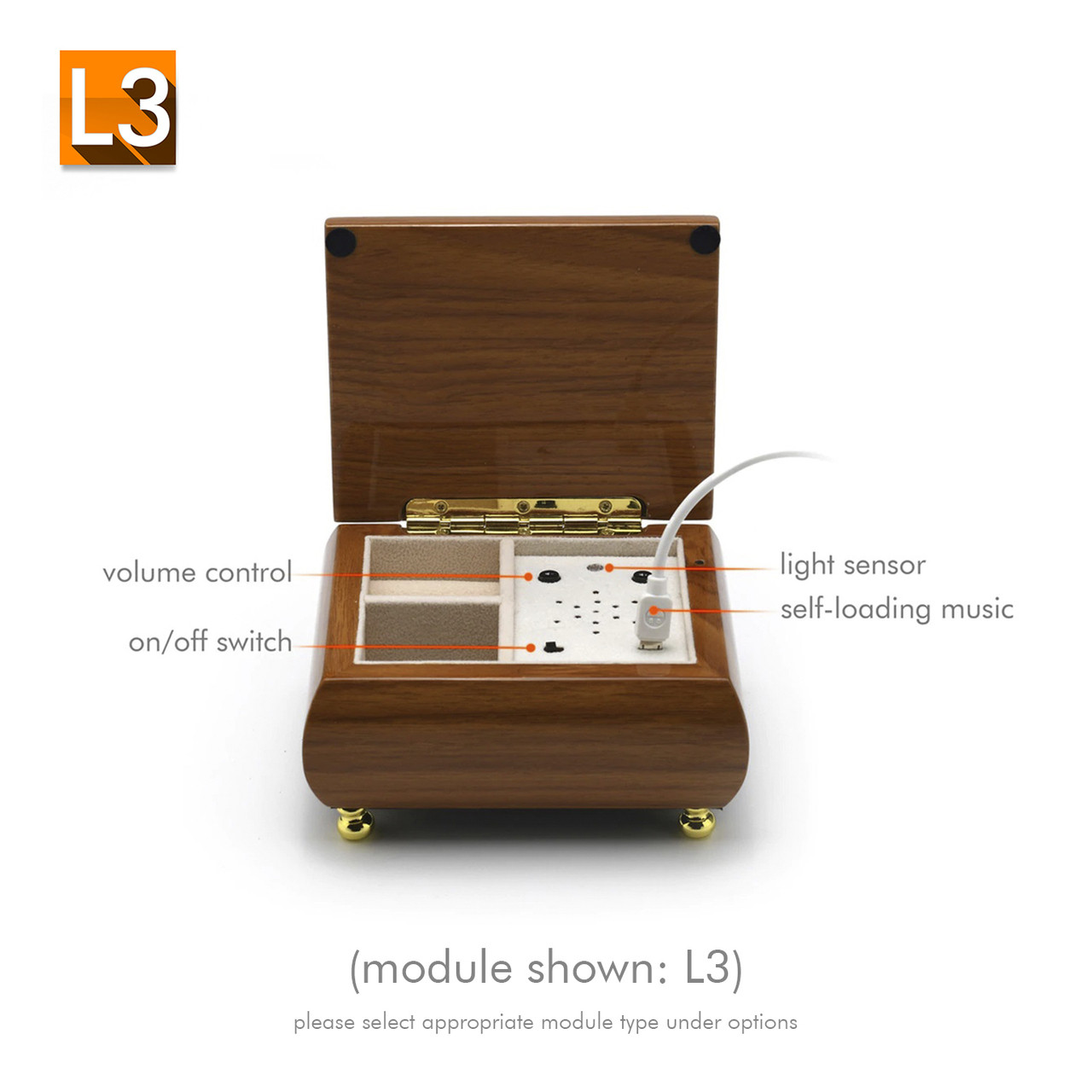 Natural HiGloss Wood Custom USB Module Music Box