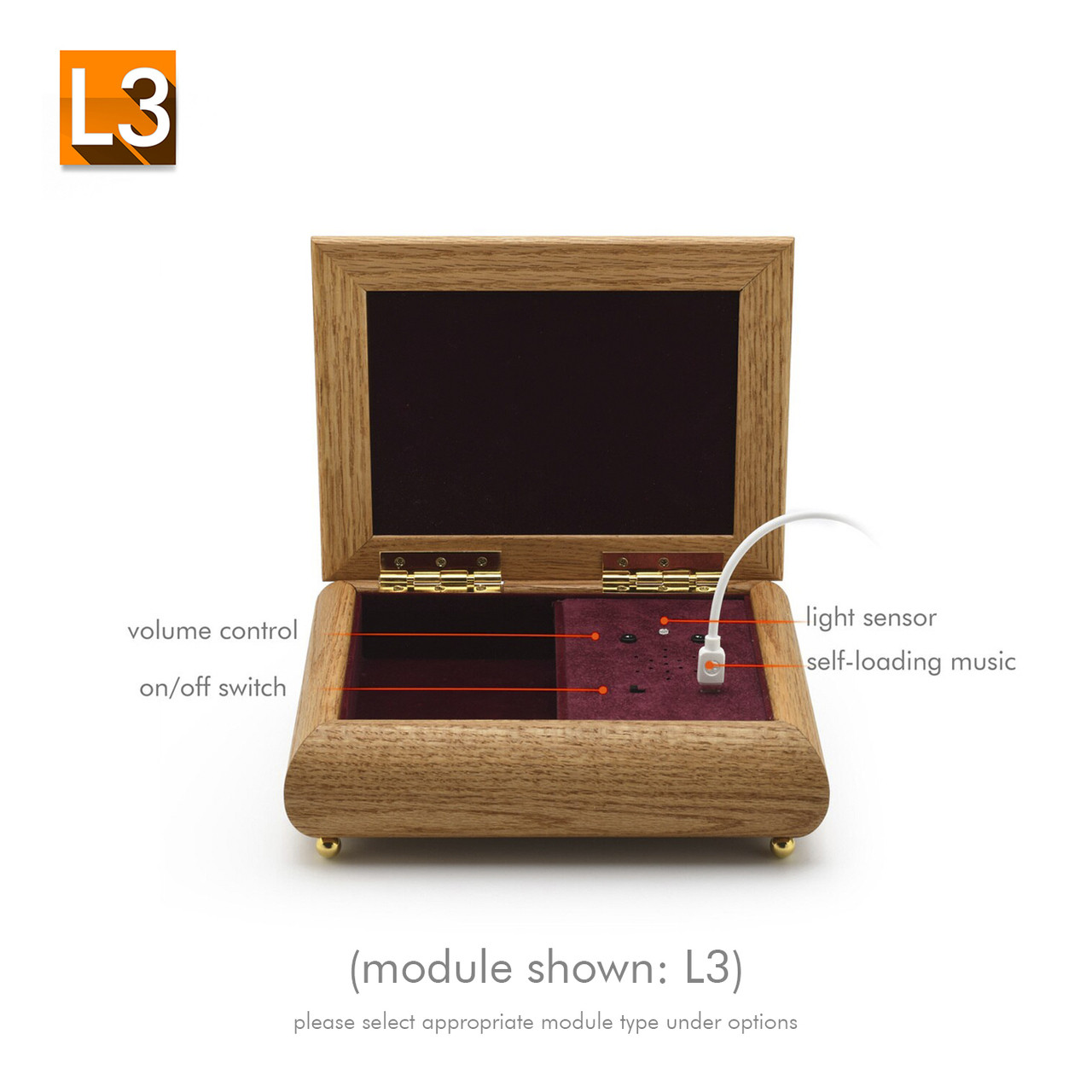 4" x 6" Oak Finish Custom USB Module Photo Frame Music Box