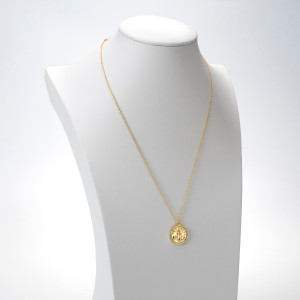 18kt Gold Plated Astrology Necklace with Zodiac Pendant of Aquarius