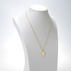 18kt Gold Plated Astrology Necklace with Zodiac Pendant of Pisces