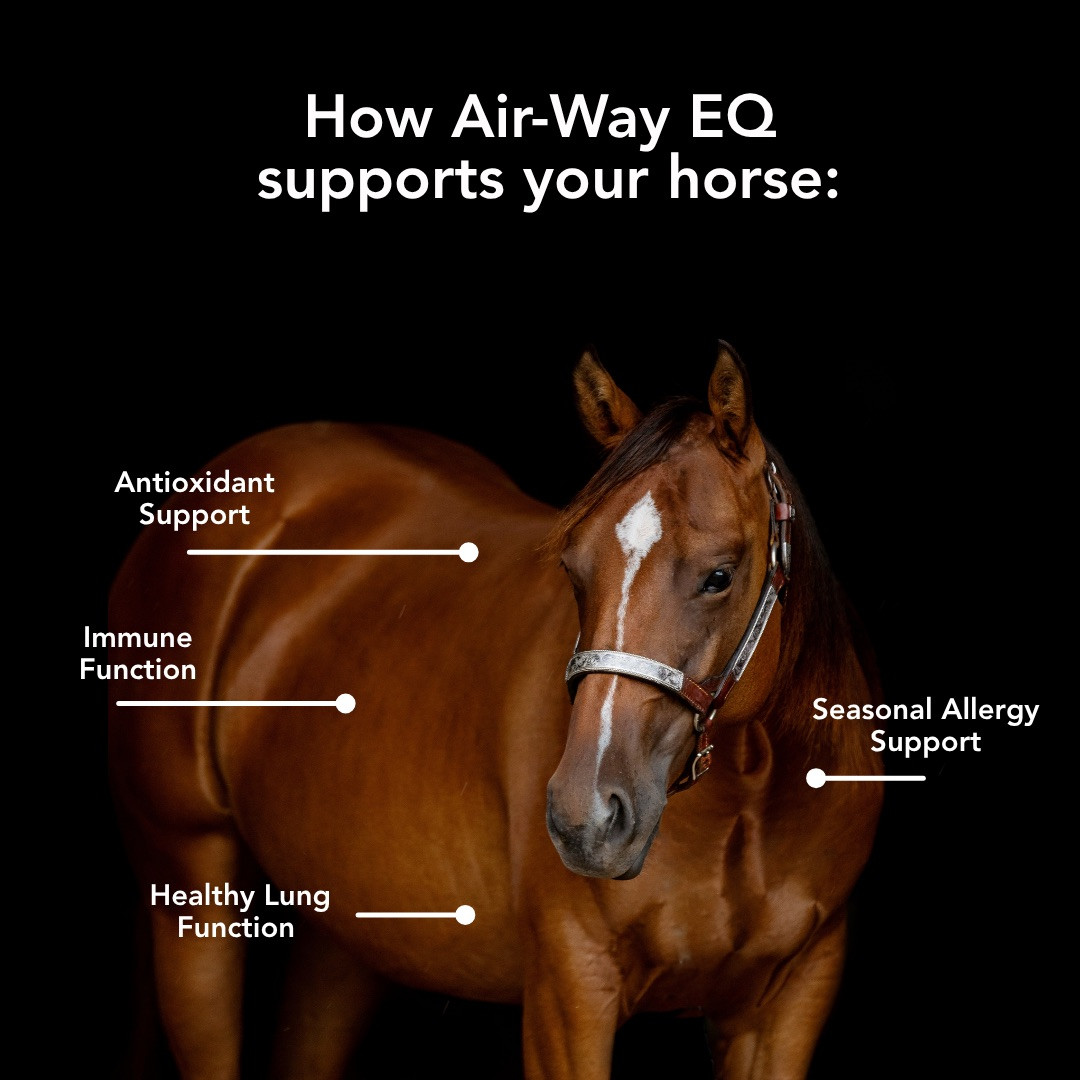 glutathione injection for horses Synthesis of a graphene oxide/agarose/hydroxyapatite biomaterial with the  evaluation of antibacterial activity and initial cell attachment