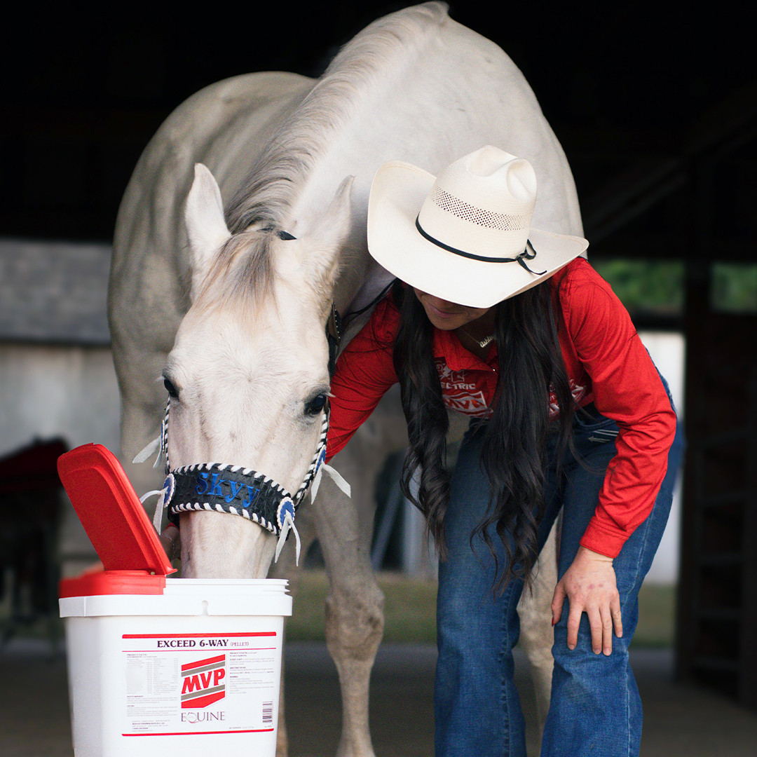 Exceed 6-Way (Pellet) Horse Feed Supplement | Med-Vet Pharmaceuticals