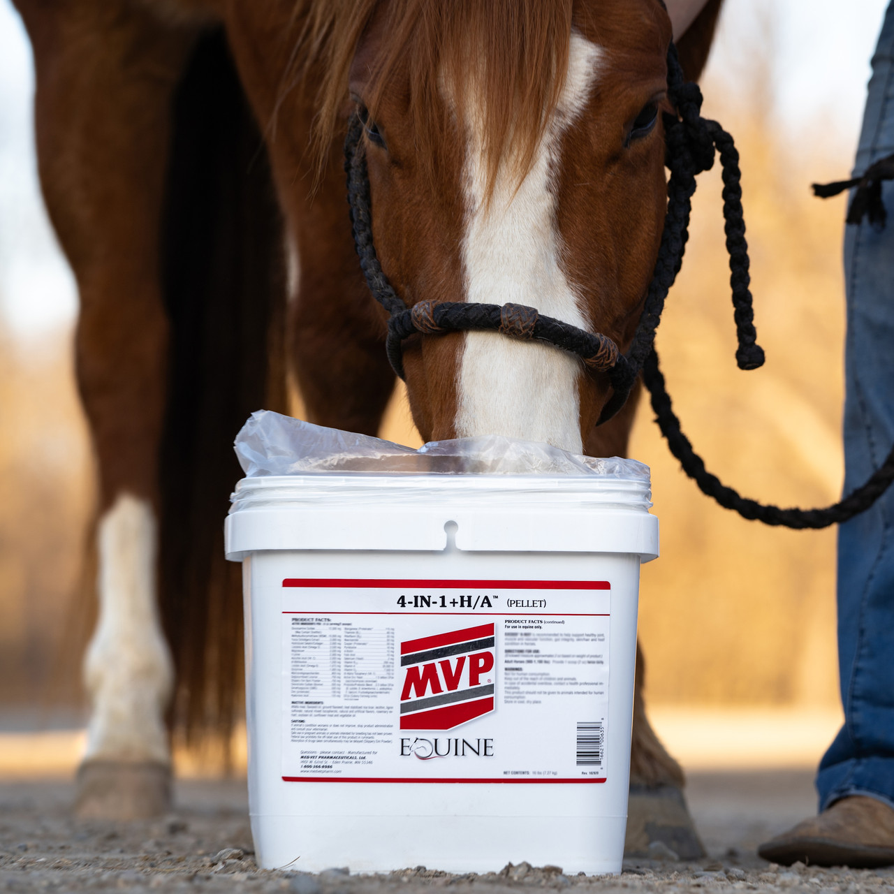 Alopecia Gel 4パック 4-In-1 + H/A Horse Supplement | Joint, Hoof, Coat, Digestion | MVP