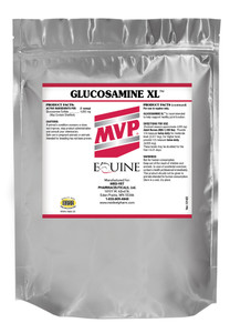 Glucosamine XL (Powder) Glucosamine XL (Powder)
