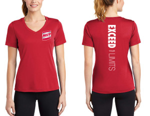 Ladies V Neck T-Shirt Ladies V Neck T-Shirt