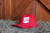 MVP Hat (Red w/ White Logo)