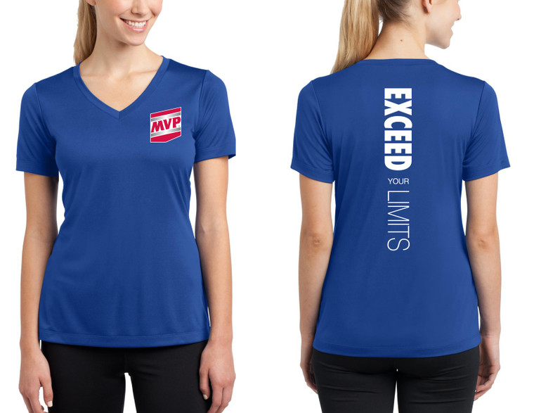 Ladies V-Neck T-Shirt