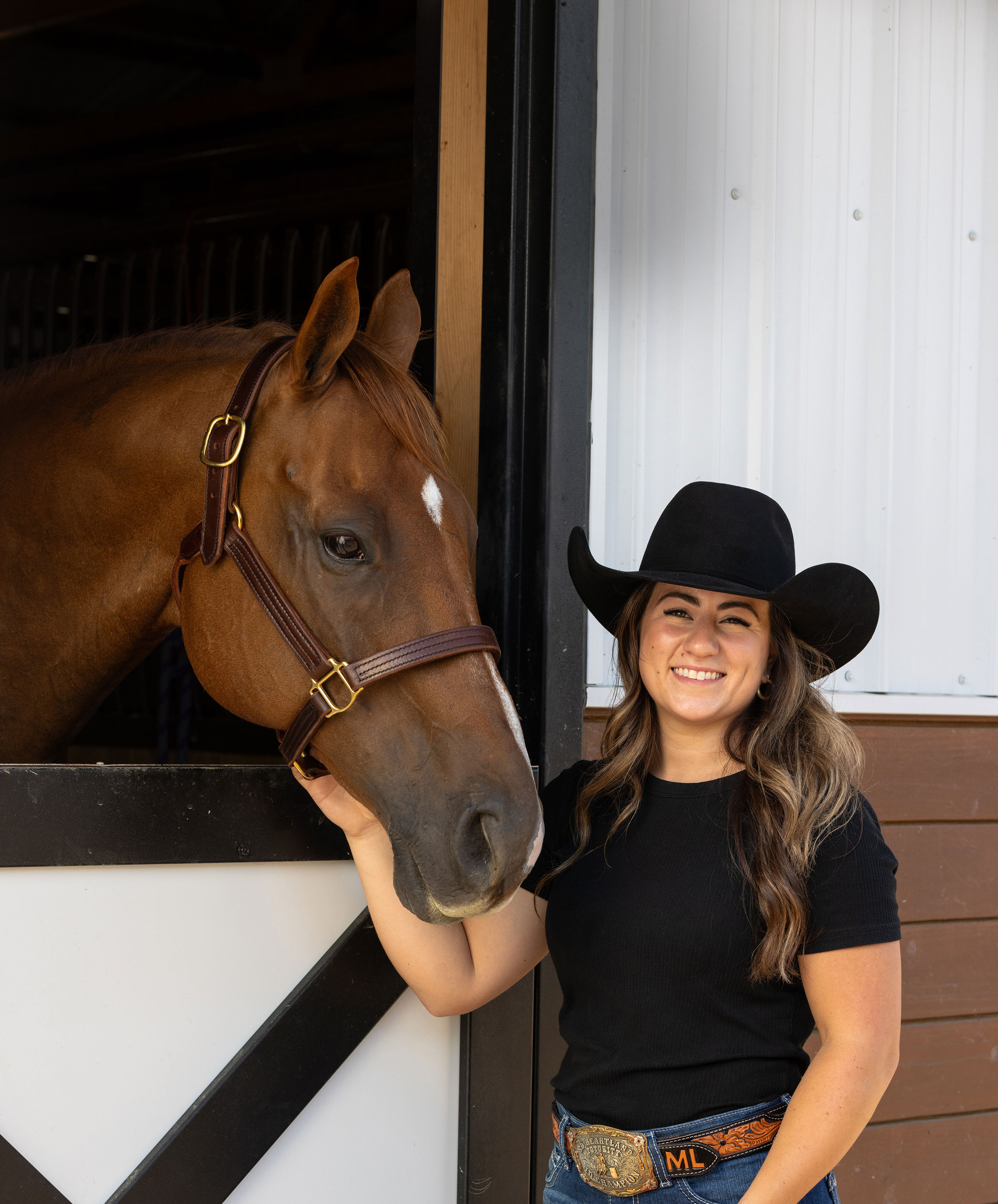 Tips To Help Keep Your Horse Cool