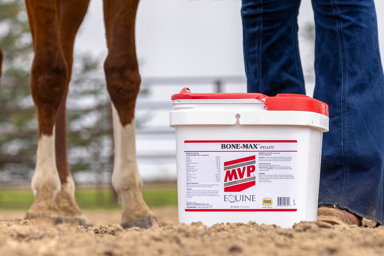Daily Electrolyte Powder For Horses