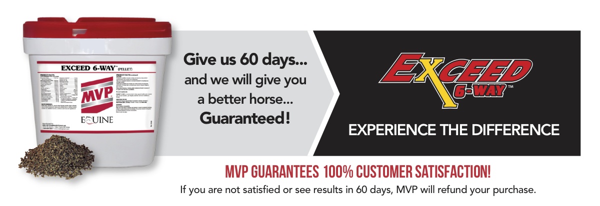 productguarenteebanner-exceed6way.jpg
