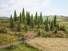 Model Fir Trees